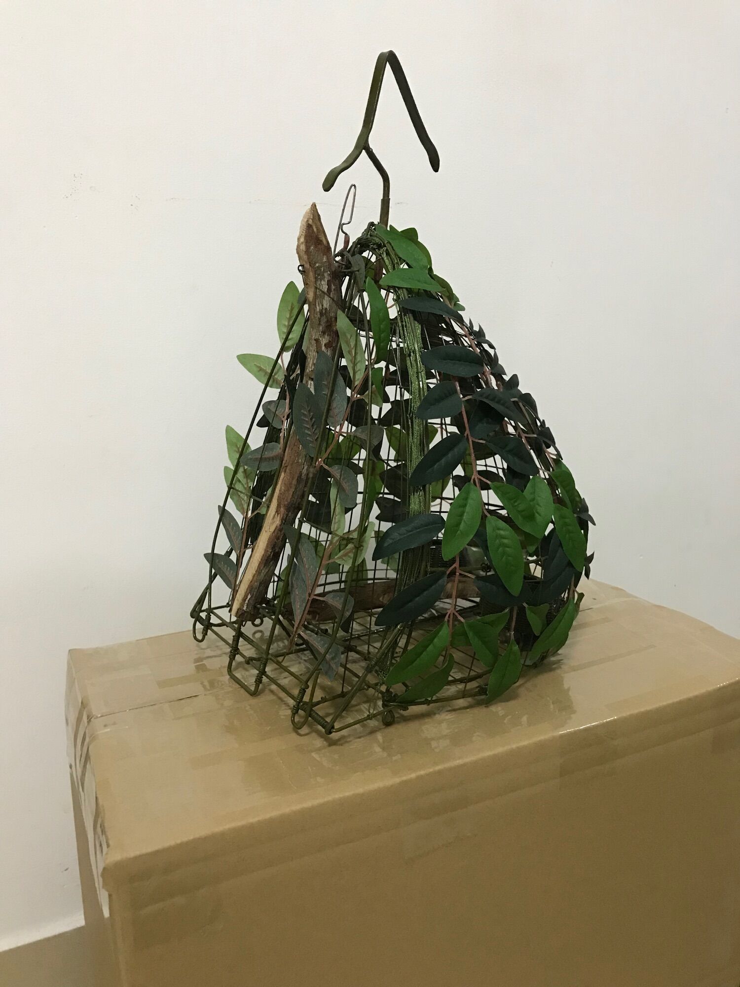 Lụp, lồng bẫy chim cu gáy