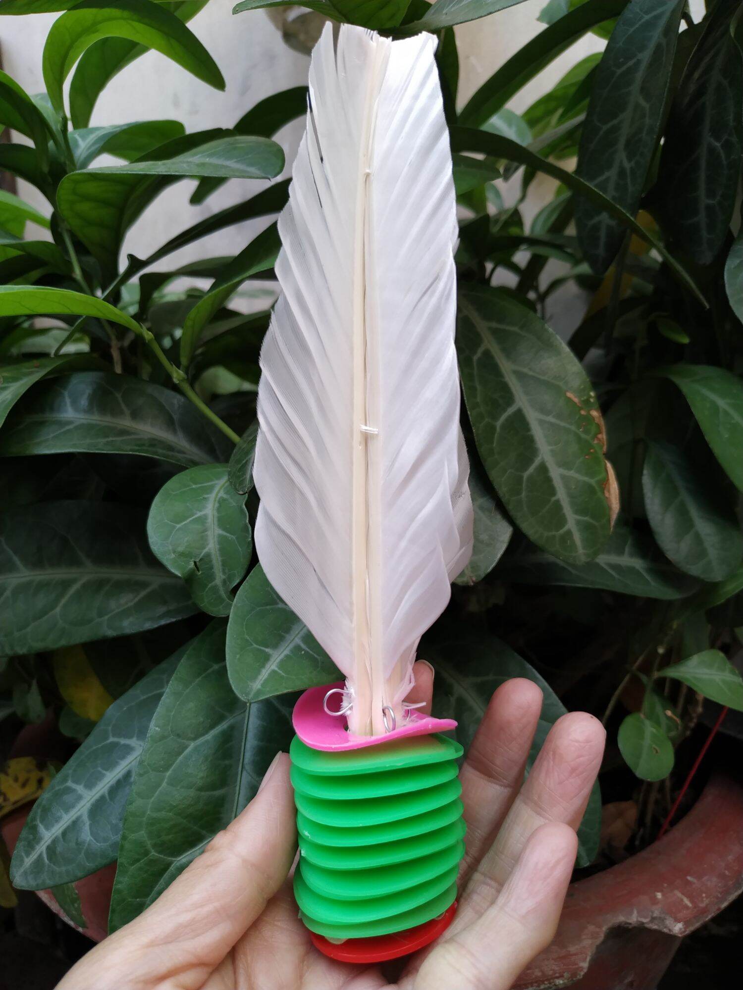 Cầu Đá Lông Gà Hiệp Thành AAA