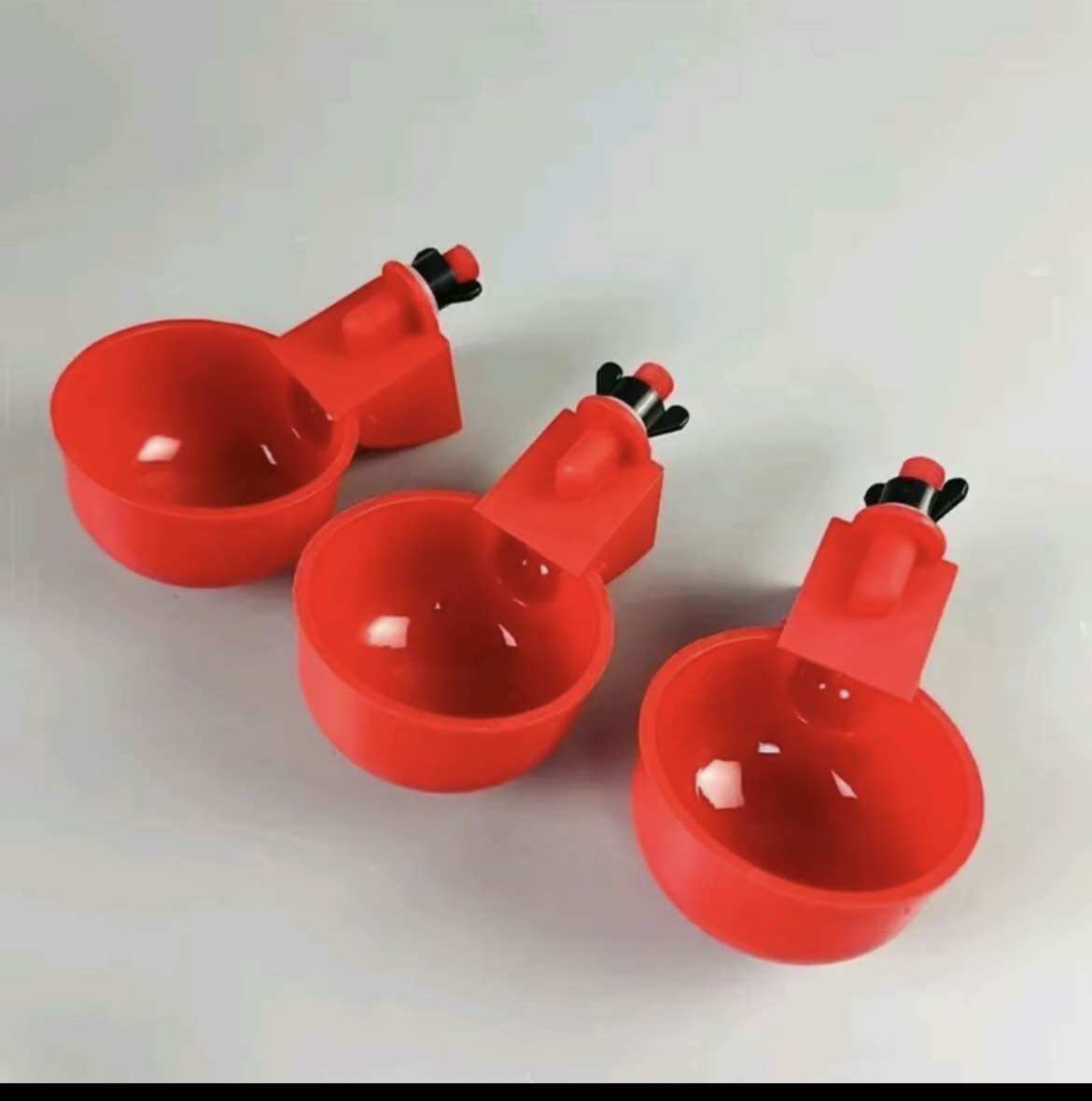 10c máng uống nước tự động gà-hàng thái lan loại 1