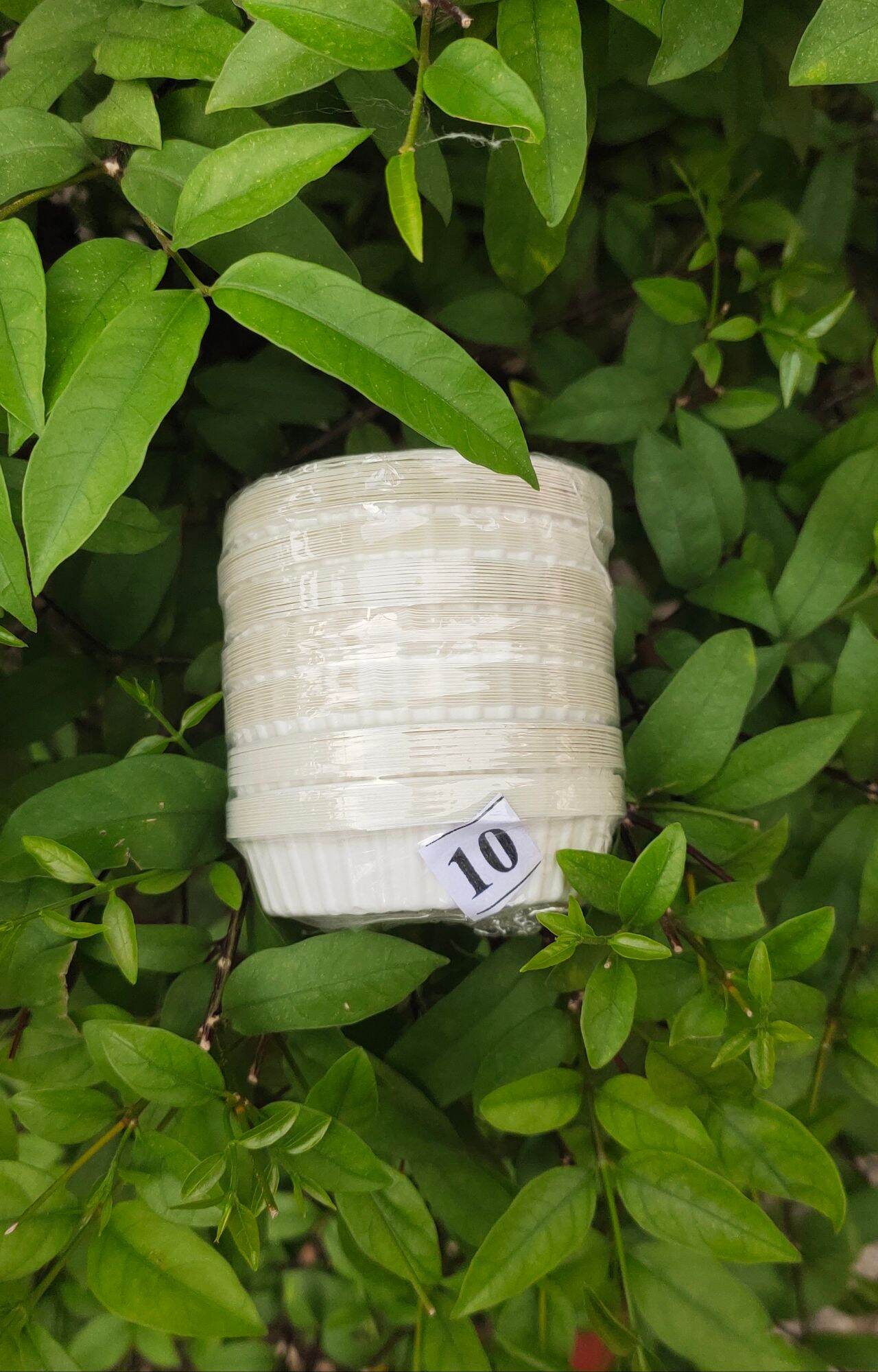 Lốc 100 chén nhựa nhỏ đựng nước sốt nước chấm dùng 1 lần tiện lợi