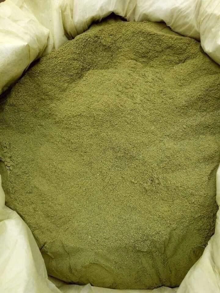 Bột thạch lá găng rừng ( sương sâm ) 500gr