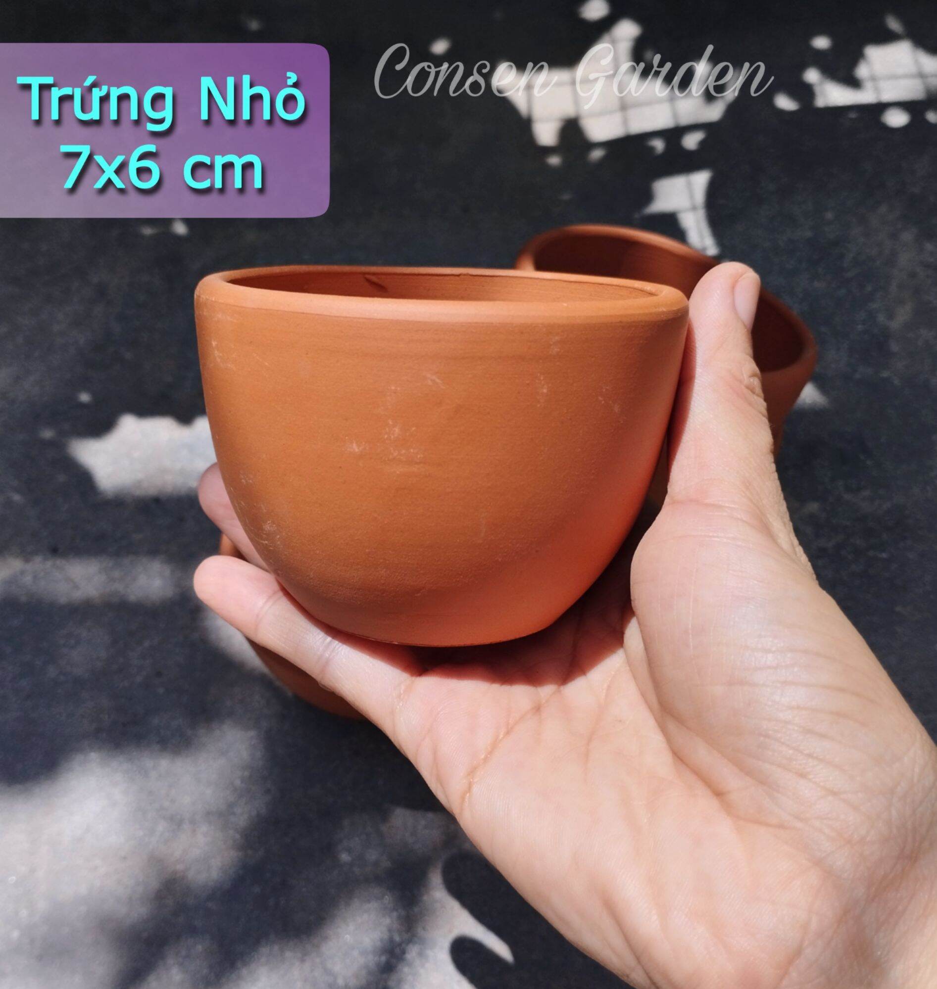 [Bao Bể Vỡ] Chậu Đất Nung Trứng Tròn - Chậu Trồng Sen Đá Xương rồng