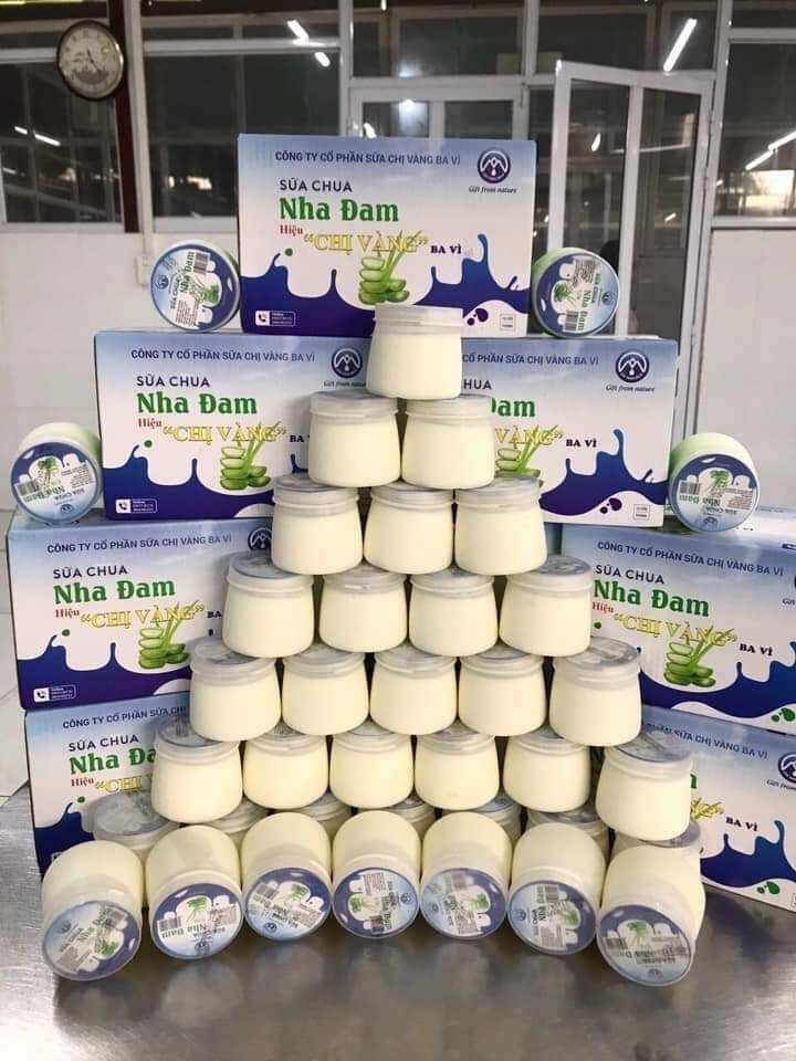 EM VỀ SẴN 500 thùng sữa chua nếp cẩm ba vì chị vàng đủ các vị sữa chua nếp cẩm sữa chua nha đam sữa chua mic vị bốn mùa sữa chua phô mai sữa caremen sữa chua chanh Leo                                                                 sữa chua trà xanh đồng