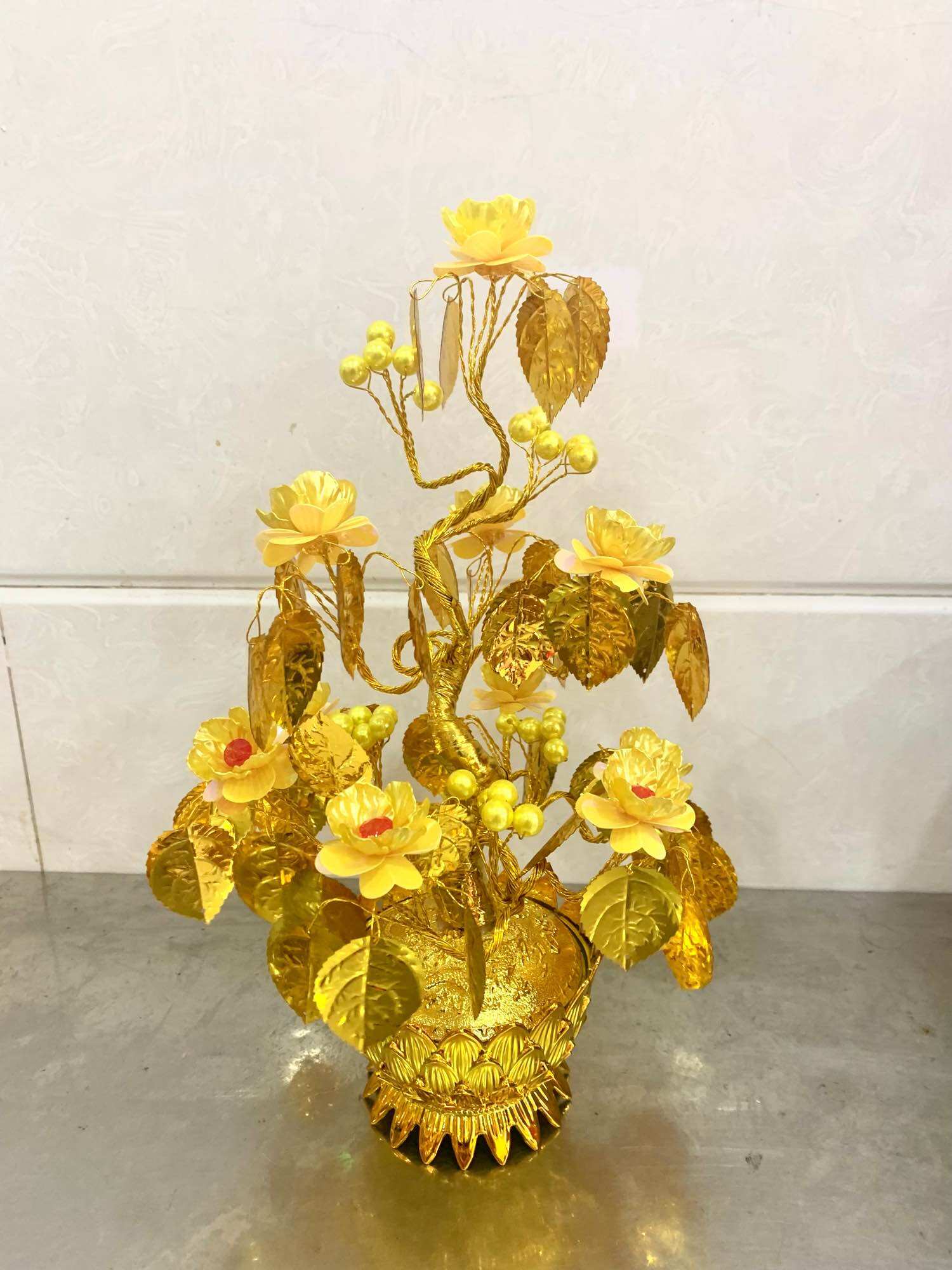 Cây kim tiền- Cây tài lộc cao 35cm