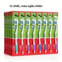 Colgate | Bàn Chải Đánh Răng Colgate Dành Cho Người Lớn, Làm Trắng Răng, Dành Cho Nướu Nhạy Cảm, Chăm Sóc Vệ Sinh Răng Miệng Hàng Ngày Tại Nhà, Chất Liệu Nhựa, Gói 8/12 Chiếc