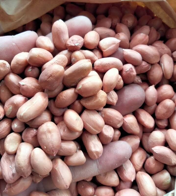 Đậu phộng sống ( lạc sống)-Bịch 500g