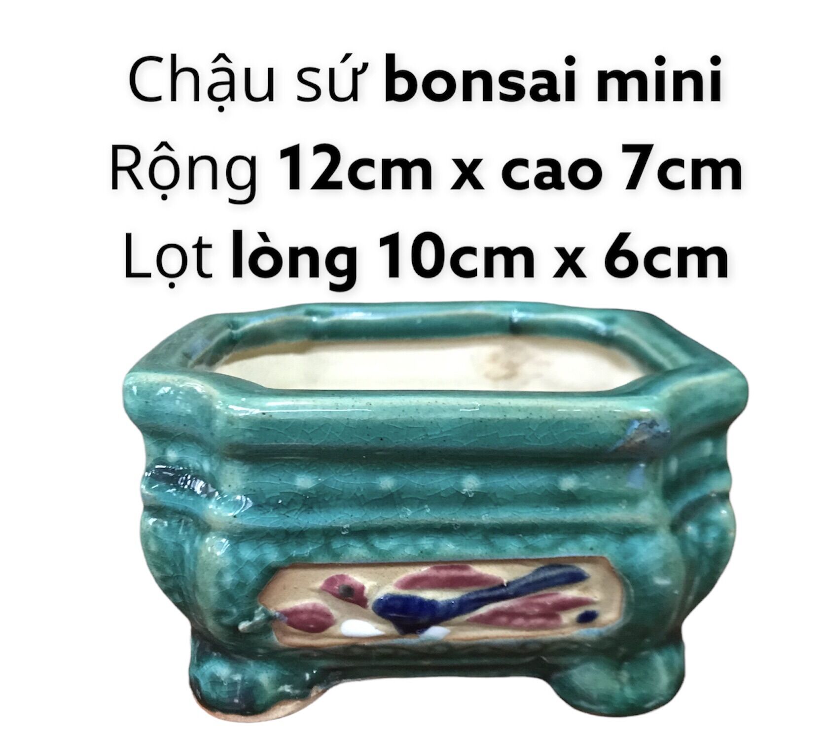 Chậu sứ bonsai mini