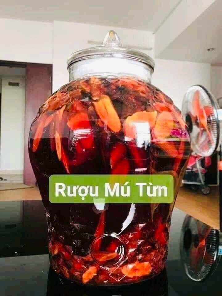 rễ cây mú từn tươi