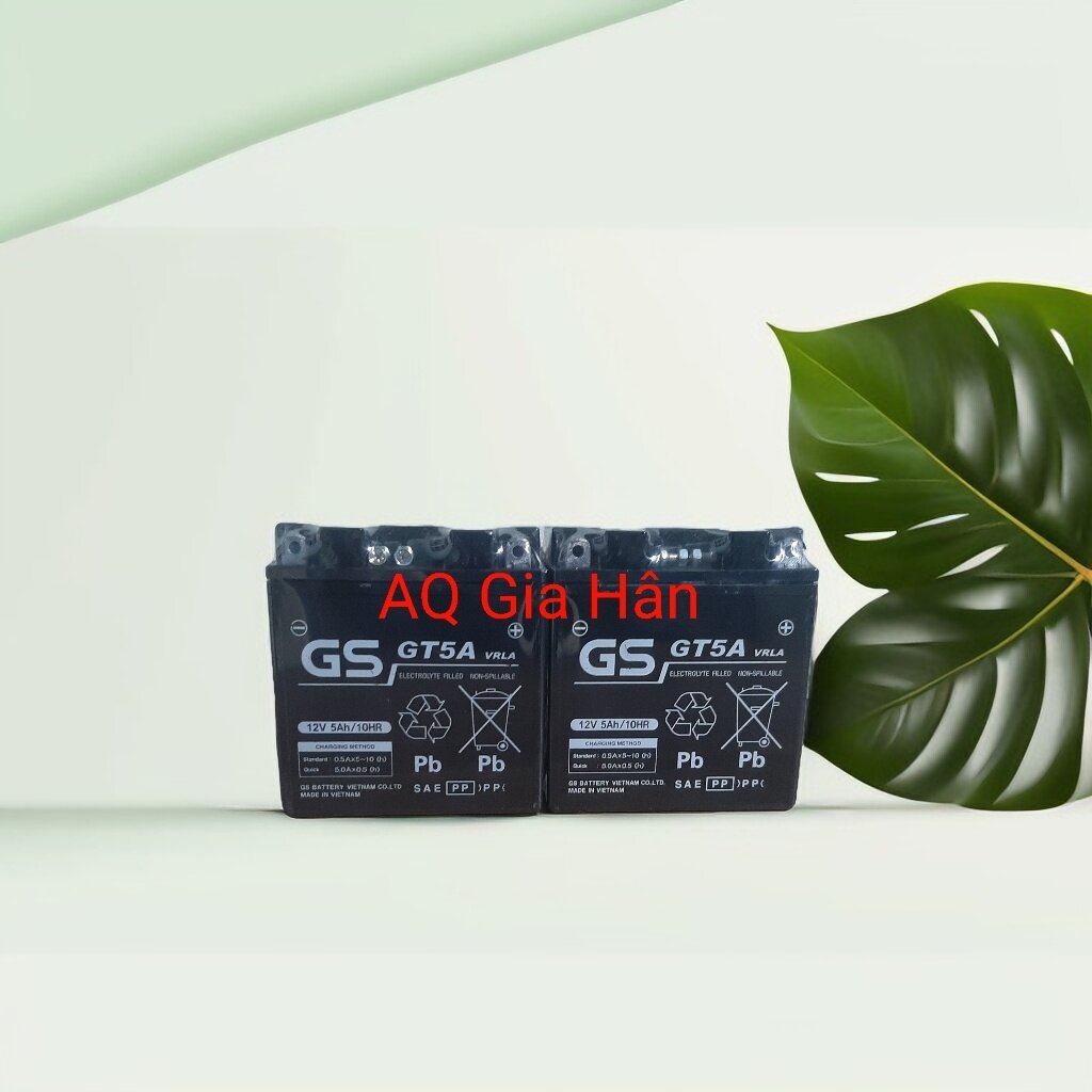 Bình ắc quy khô GS GT5A 12V-5Ah cho xe máy Dream, Wave, Future, Sirius, Jupiter, Taurus,