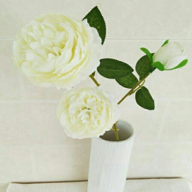 Cành Hồng trà mao vương 2 bông 1 nụ decor