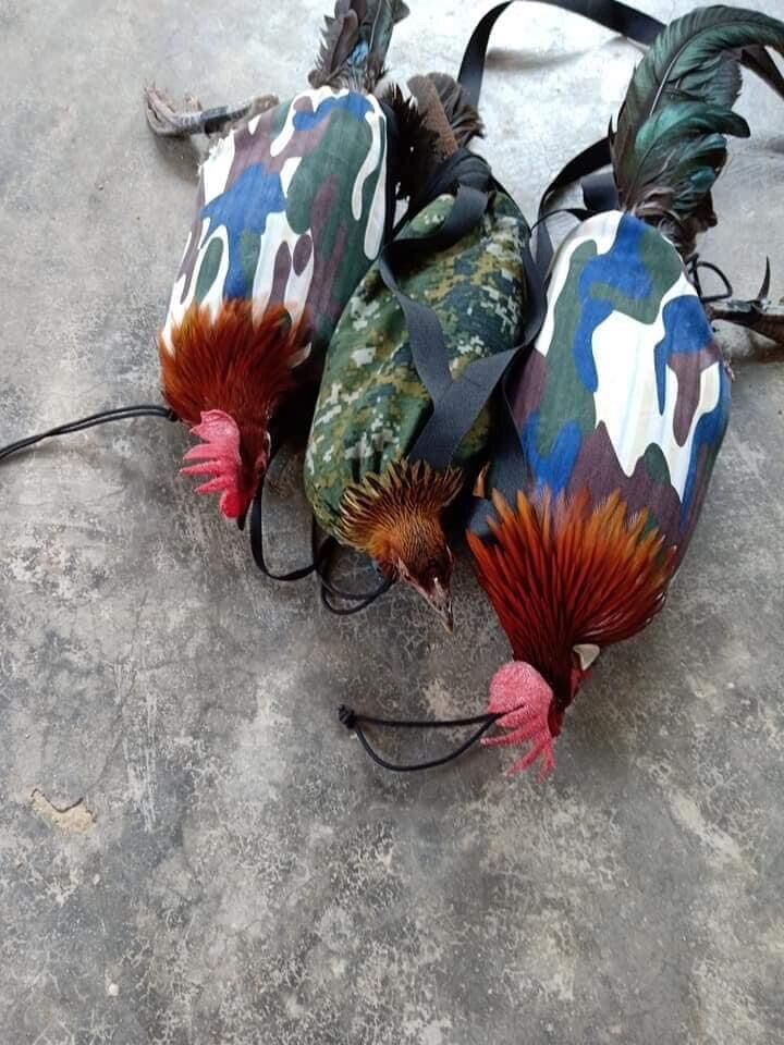 Combo  5  Túi Đựng Gà Rừng Bổi