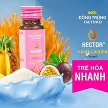 Đông trùng hạ thảo hecto collagen hộp 10 chai