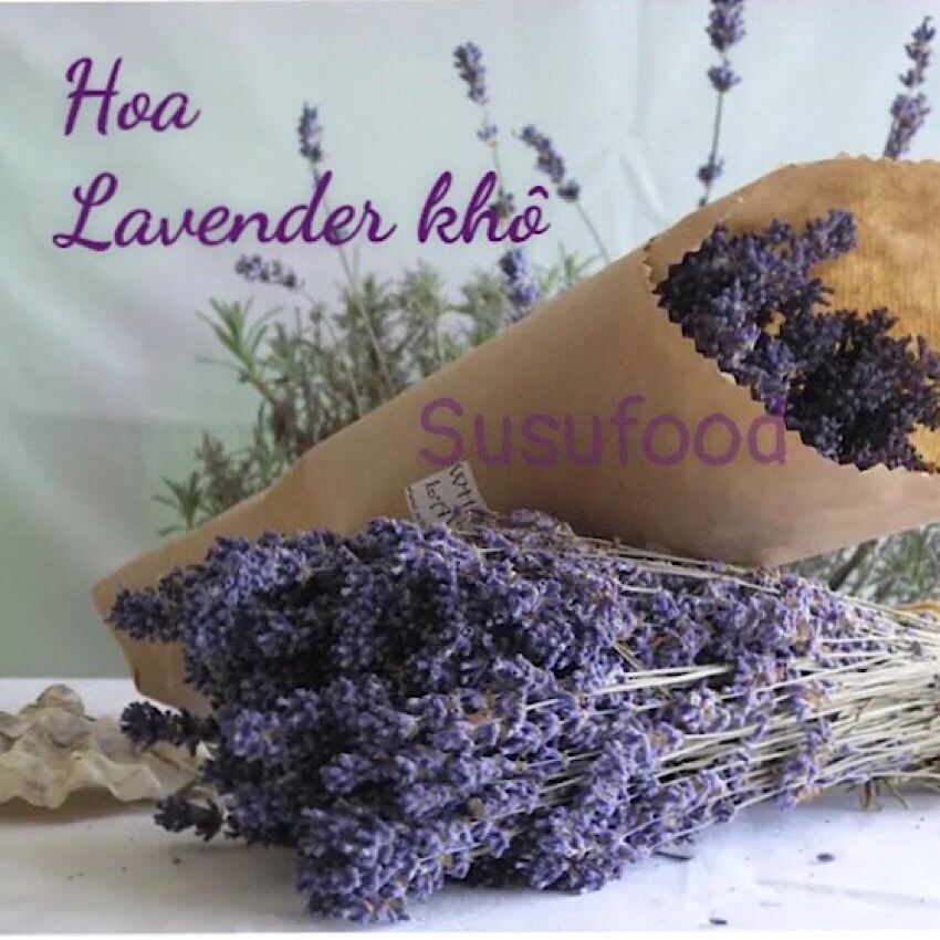 [FREESHIP+QUÀ]200 cành Hoa Lavender (hoa oải hương ) khô tự nhiên hàng nhập Pháp trang trí bàn học, bàn làm việc, bàn tiệc thumbnail