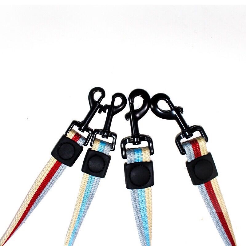 Parachute Leash with 1m7 Long Leash for Large Dogs