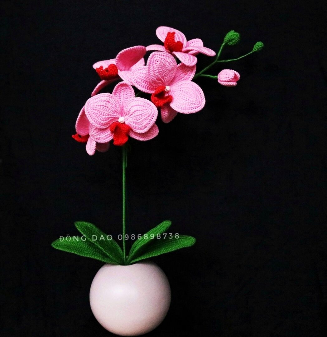 Cây lan hồ điệp bằng len tùy chọn màu hoa handmade / Crochet month orchid