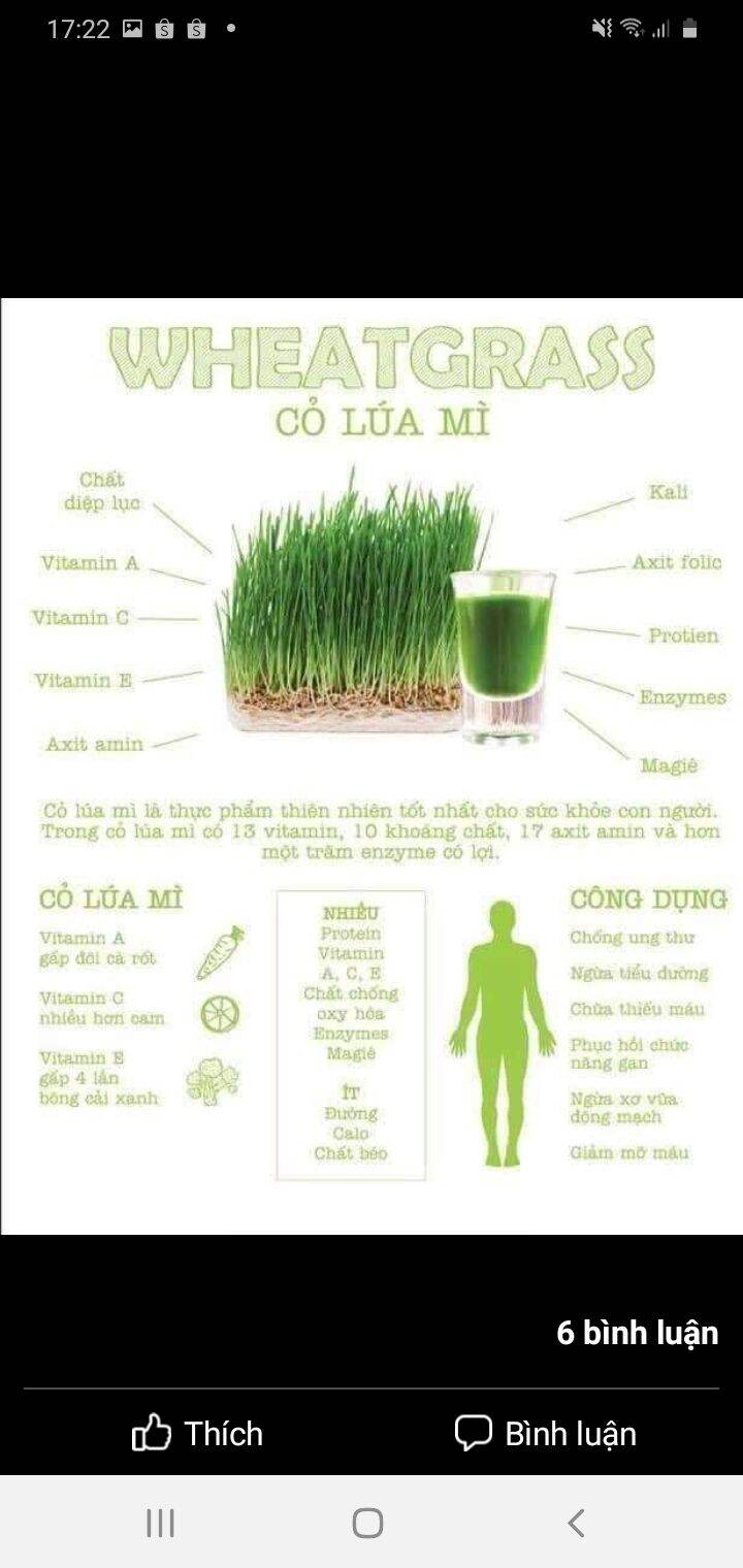 Hạt Lúa Mỳ Hữu Cơ Markal [1Kg]