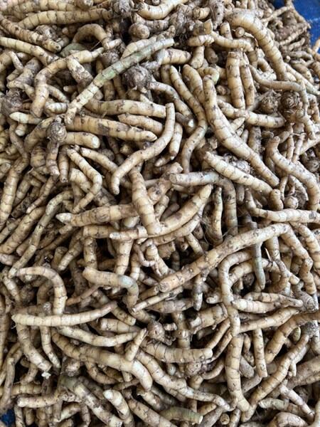 Củ ngải chống độc 200g