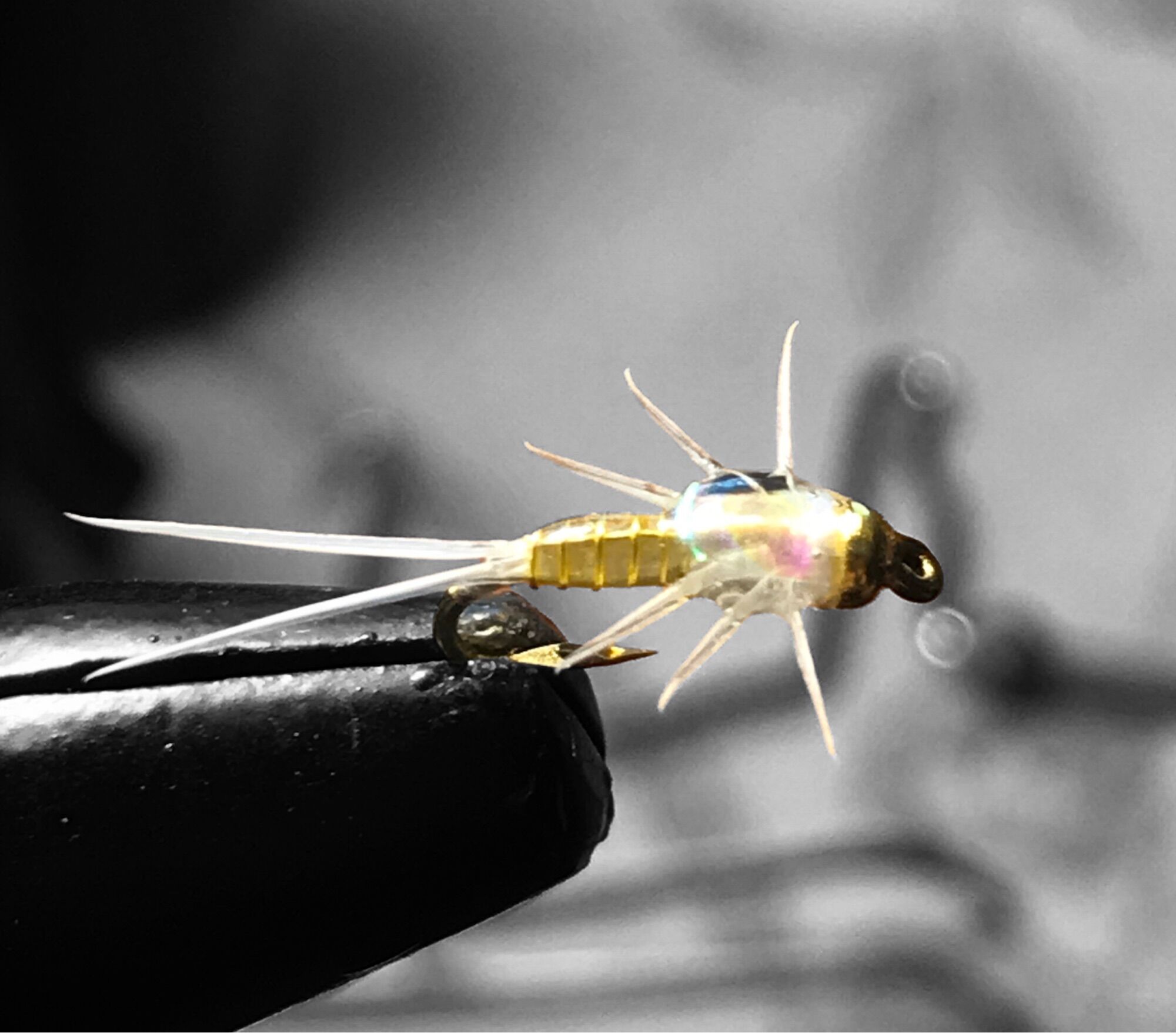 Mồi bọ câu cá mương lure, fly, tenkara