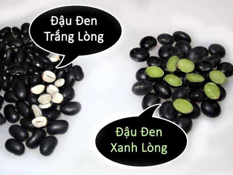 Đậu đen/đỗ đen [xanh & trắng lòng] (Black Bean) hạt to thuần chủng.
