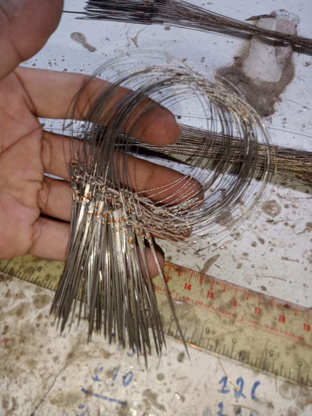 Dò Bẫy Cu Gáy Malai Se 7