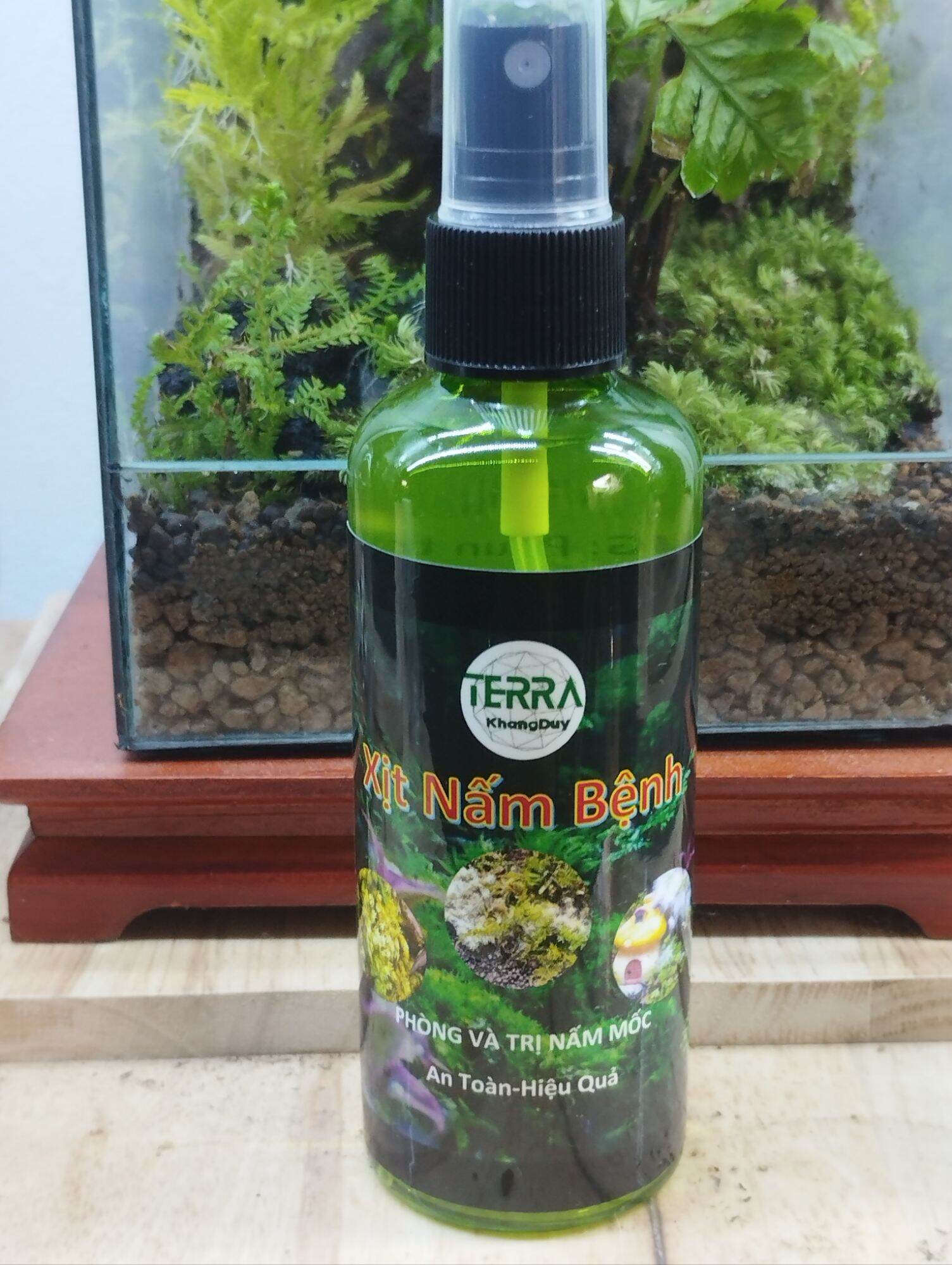 Xịt nấm, dưỡng rêu cây sỉ inb