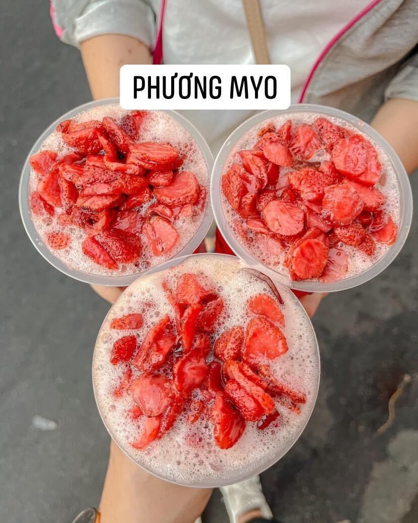 Set nguyên liệu trà dâu đà lạt 20-25 ly