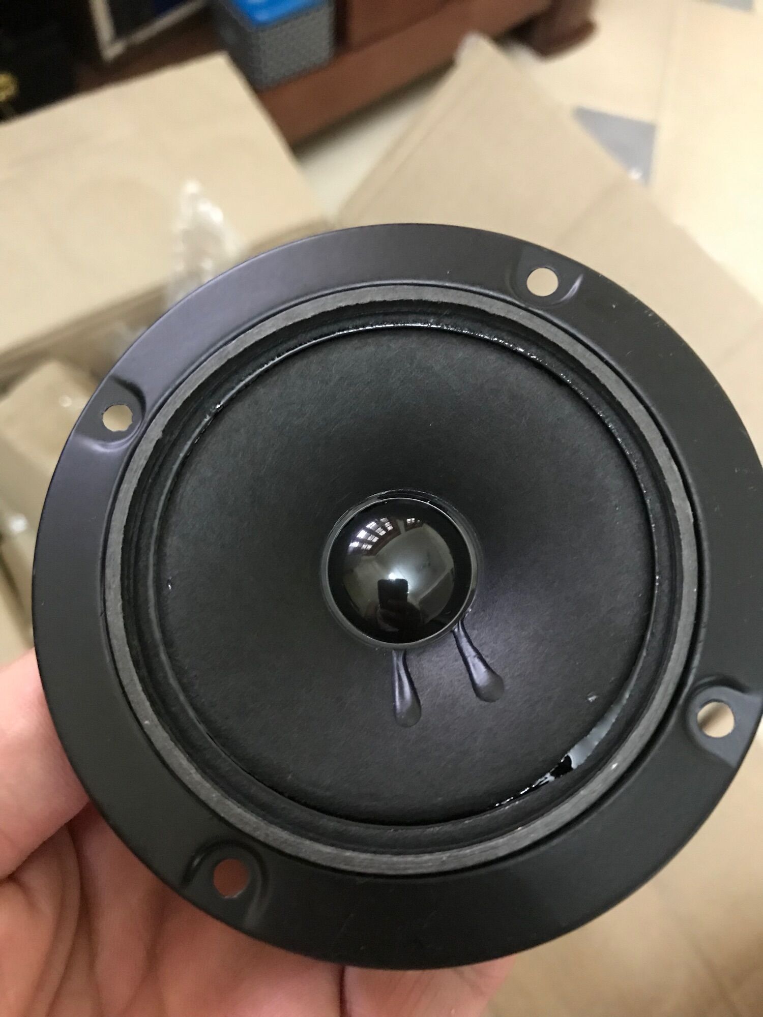 Loa tép đường kính 10 cm