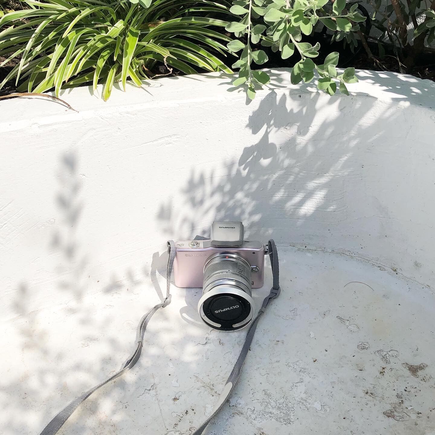 Máy ảnh compact - ngot.retro