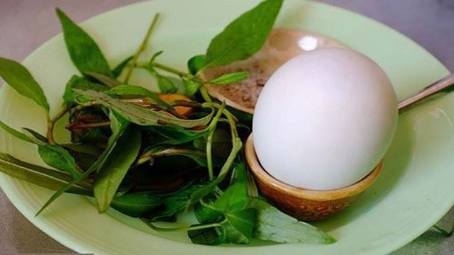 Bầu cây giống rau răm