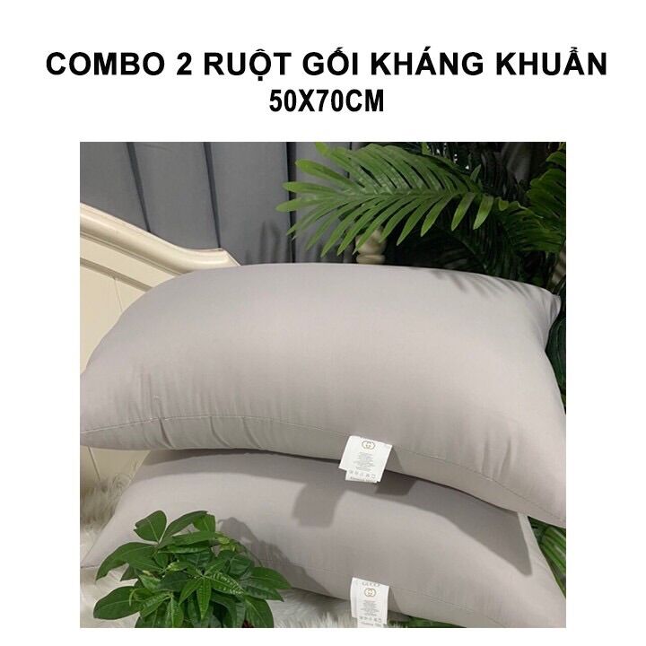 Ruột gối đầu 50x70cm 1 đôi kháng khuẩn bông không xẹp