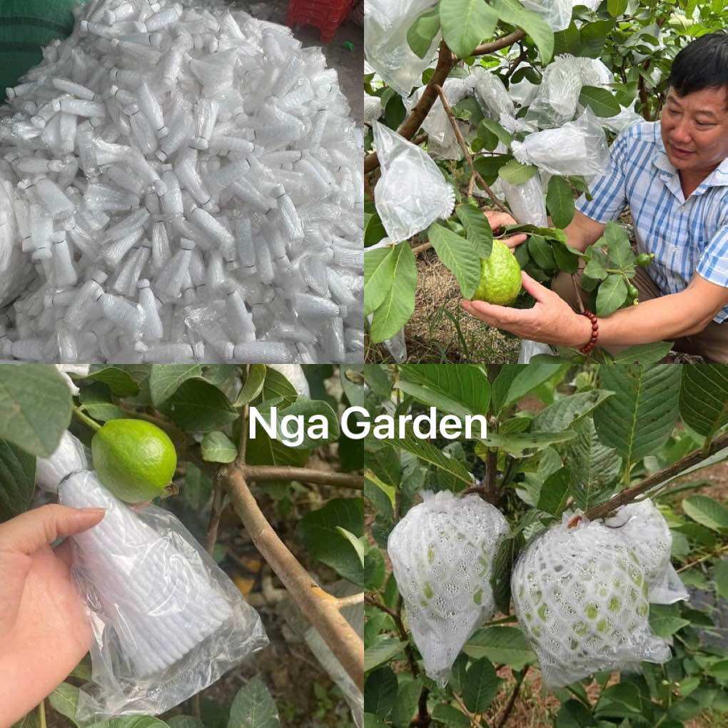 1 kg xốp bọc ổi lồng sẵn, xốp bọc na, xốp bọc táo, tránh ruồi vàng đục quả