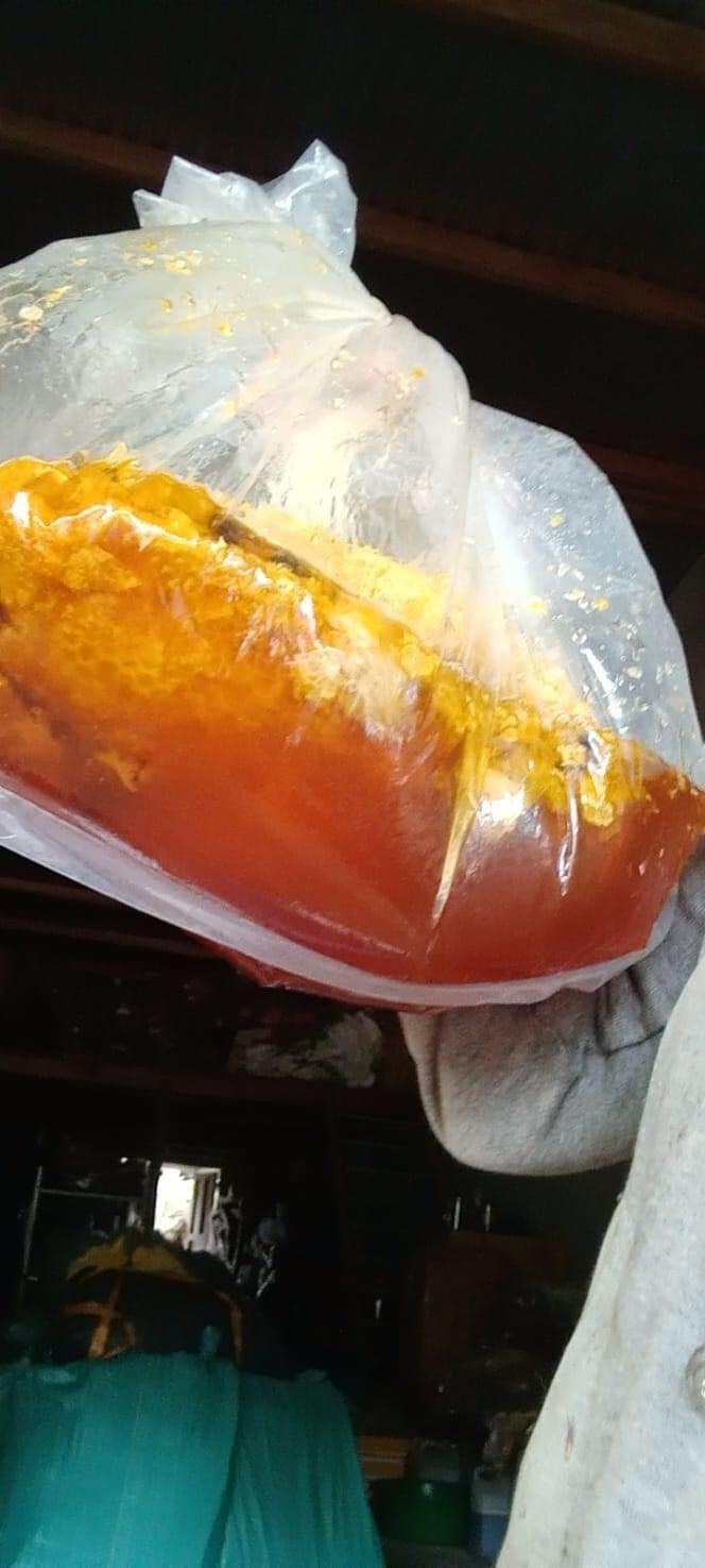 Mật ong rừng nguyên chất
