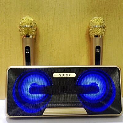 Loa kara blutooth 2 mic sd301