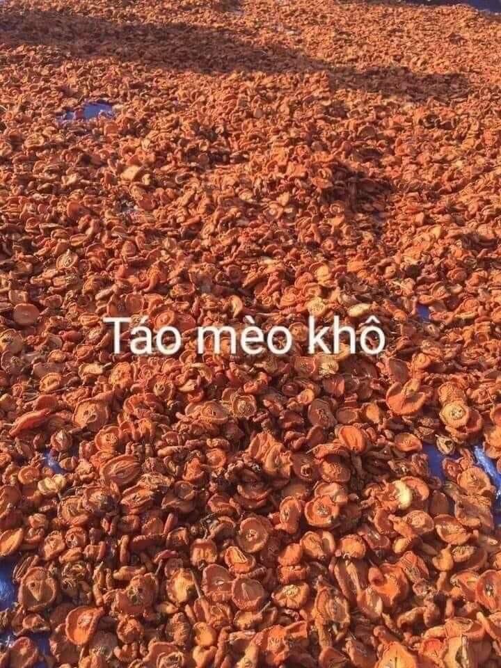 Táp mèo khô tây bắc 55k 1 kg
