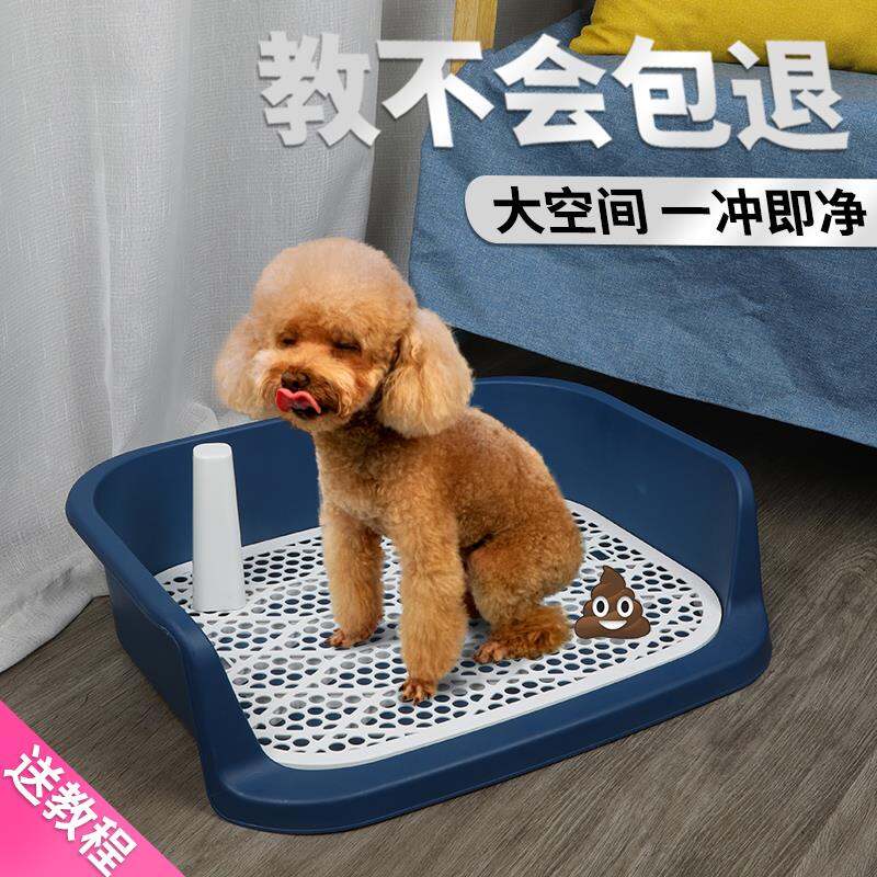 Nhà Vệ Sinh Teddy Nhỏ Tự Động Xả Nước Lớn Chó Golden Retriever Bô Bồn Tiểu Pet Dog Cho Chó