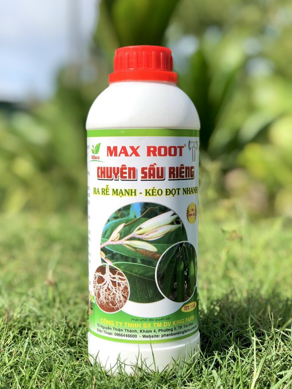Phân bón bung đọt ra rễ chuyên sầu riêng. chai 1l sử dụng được 350 lít nước.