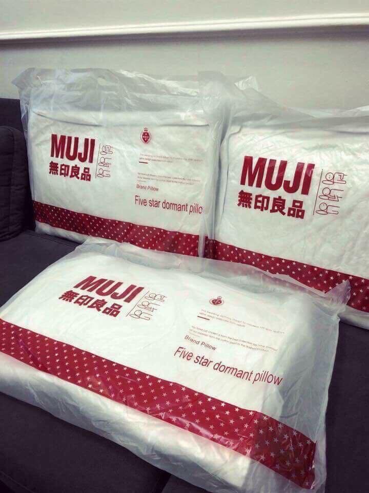 Cặp ruột gối đầu xuất nhập khẩu 2 chiếc - hàng đẹp