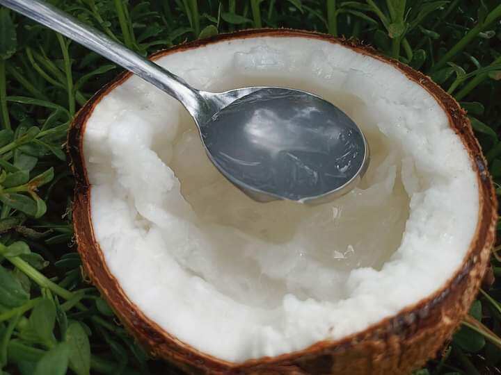 Dừa sáp trái 1kg trở lên bao ngon