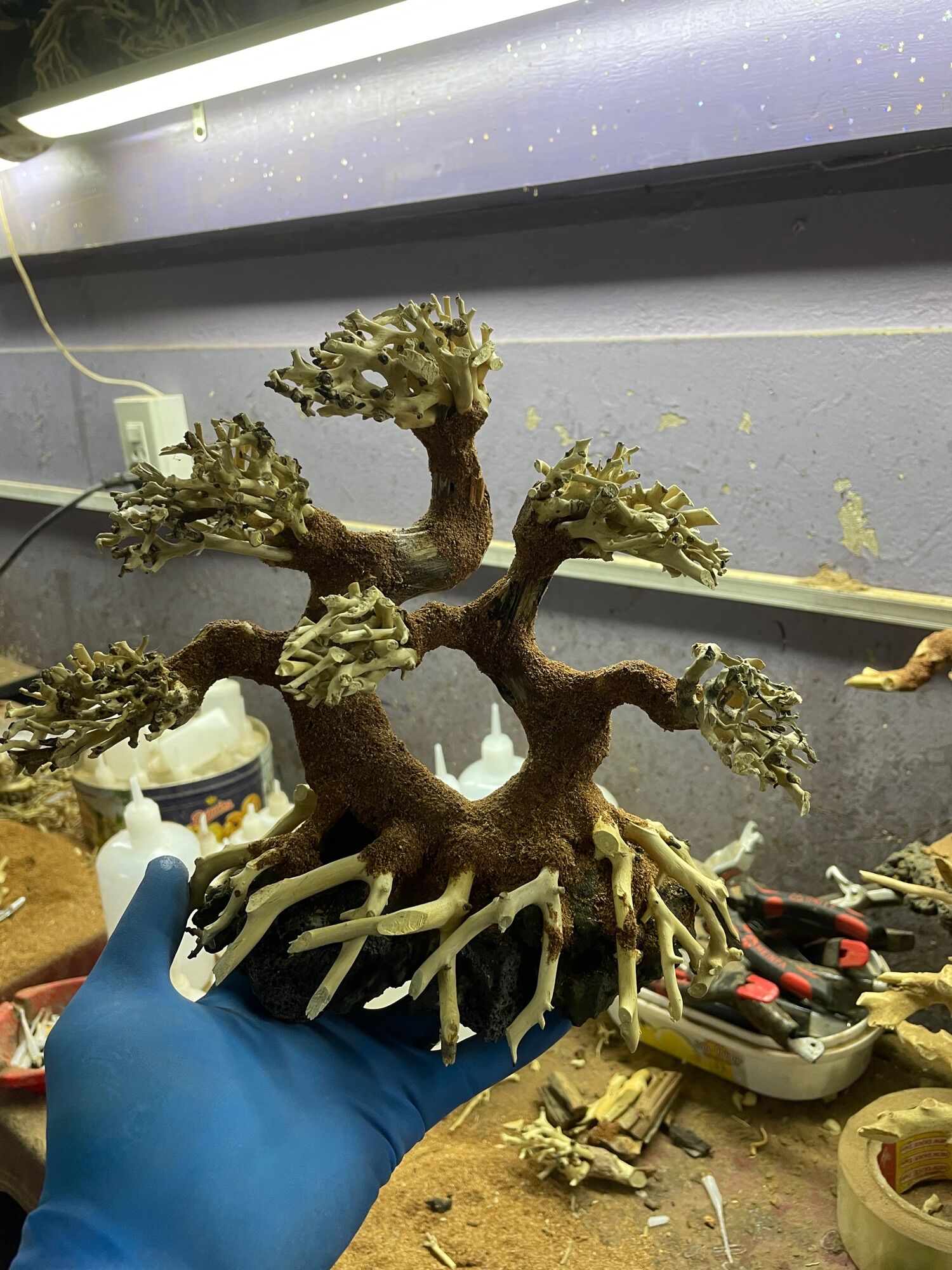 Lũa bonsai 2 thân cao 15cm dài 20cm