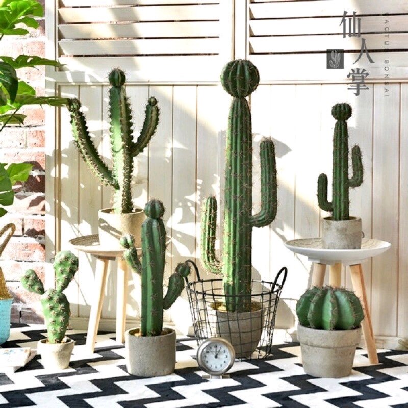 Cây xương rồng giả cao cấp giống thật 99% decor home
