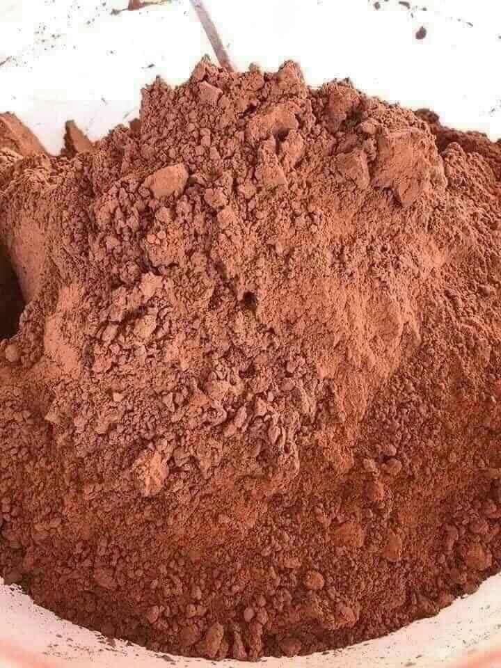 Bột cacao daklak