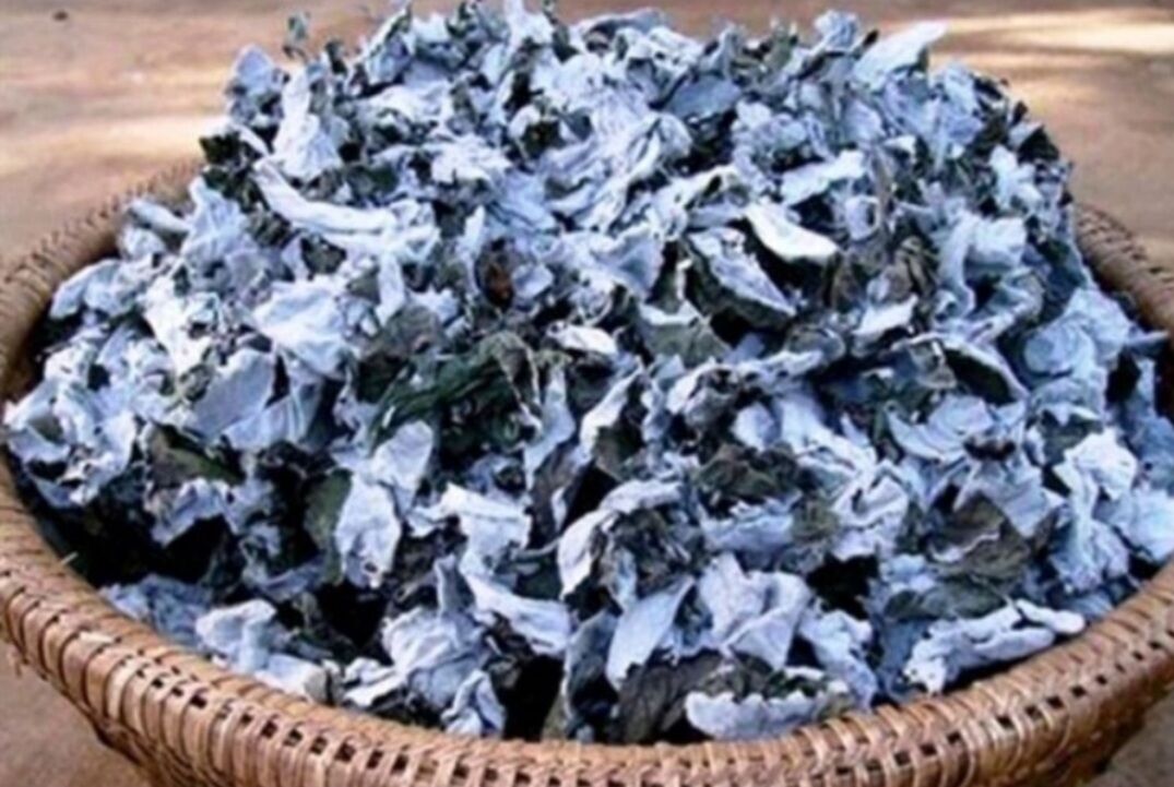 Lá gai nếp làm bánh gai