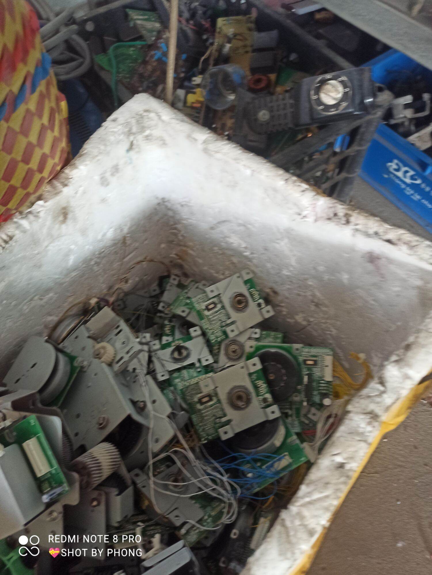 combo 5 motor Brussels cốt 6mm