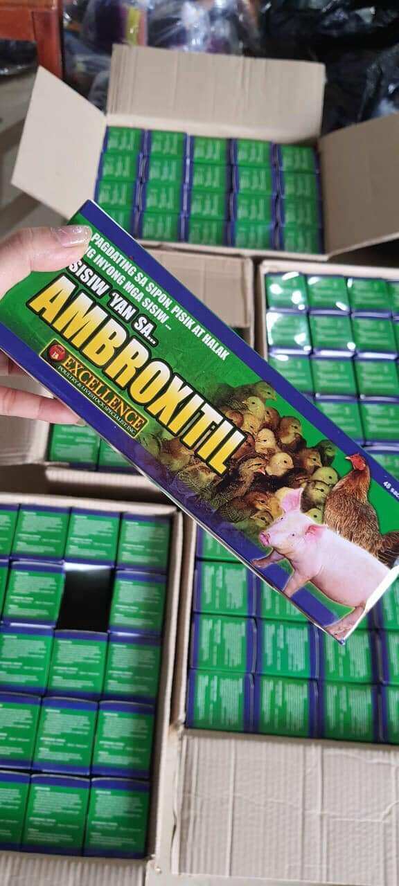 Úm Phi Ambroxitil phòng chữa bệnh gà con