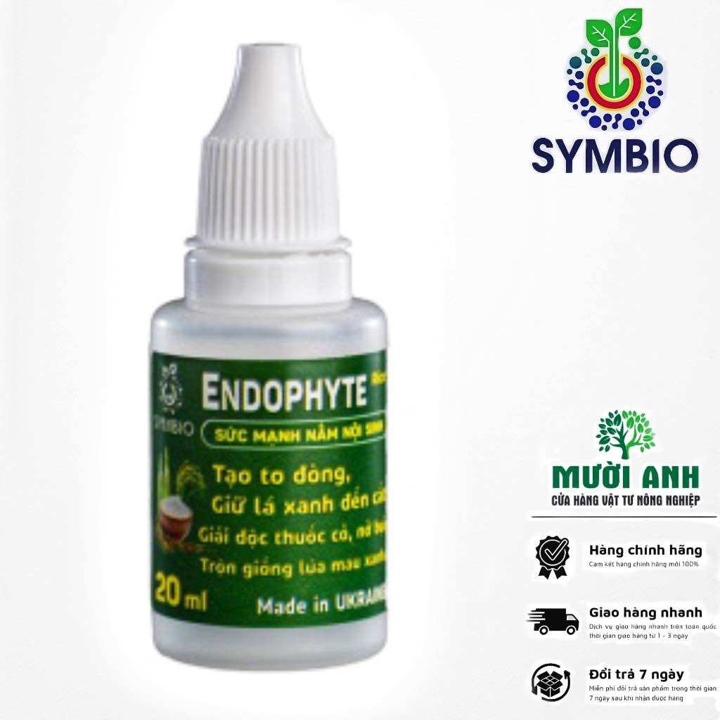 Phân Bón Sinh Học ENDOPHYTE của SYMBIO