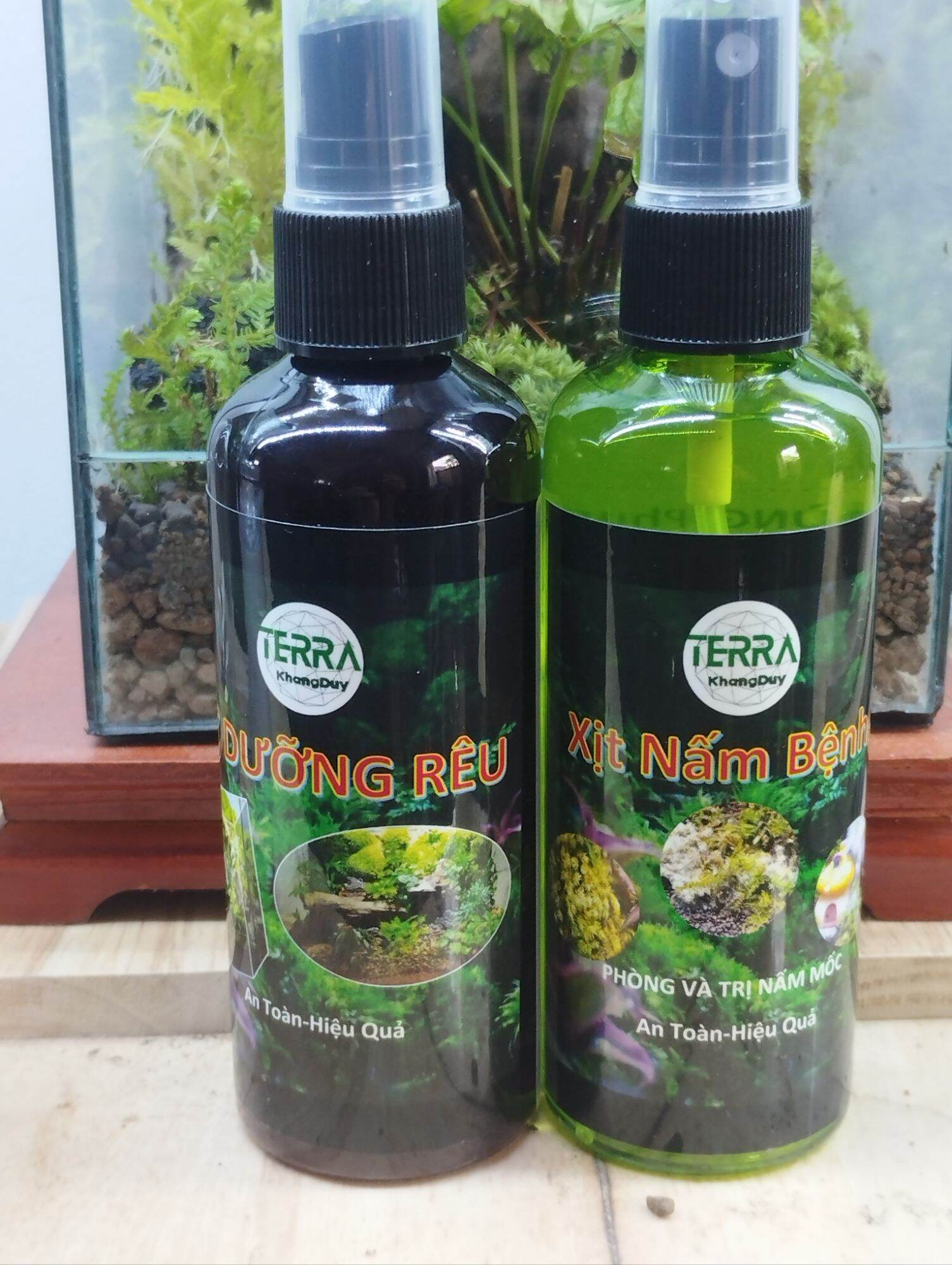 Xịt nấm, dưỡng rêu cây sỉ inb