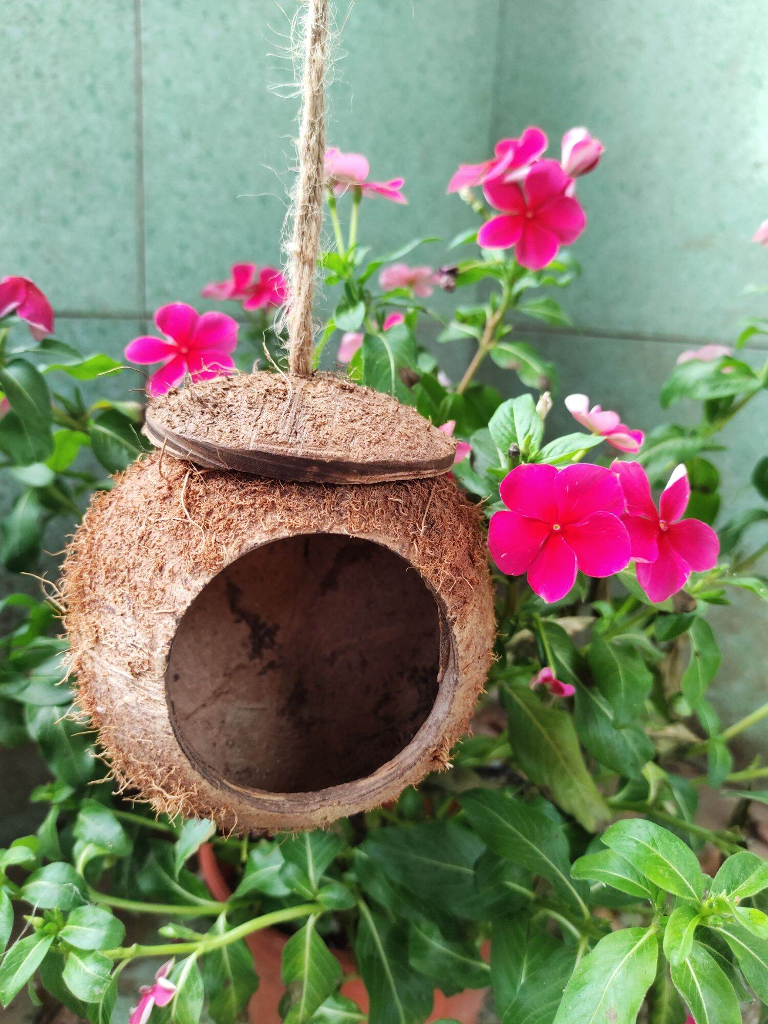 TỔ CHIM HAMSTER THÚ CƯNG GÁO DỪA MINI SIZE