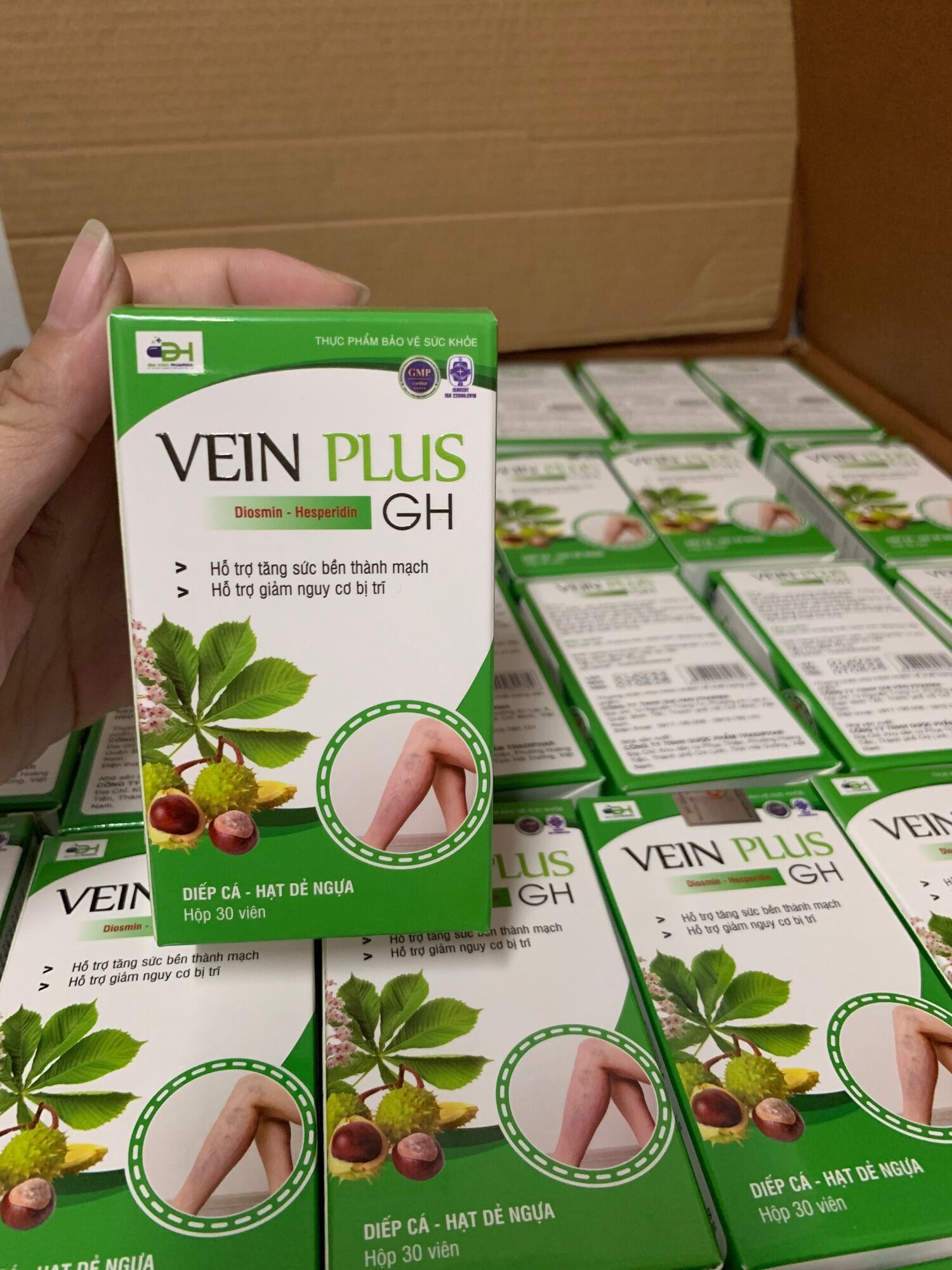 VEIN PLUS GH - Diếp cá, hạt dẻ ngựa - Suy Tĩnh Mạch + Trĩ không còn là nổi lo