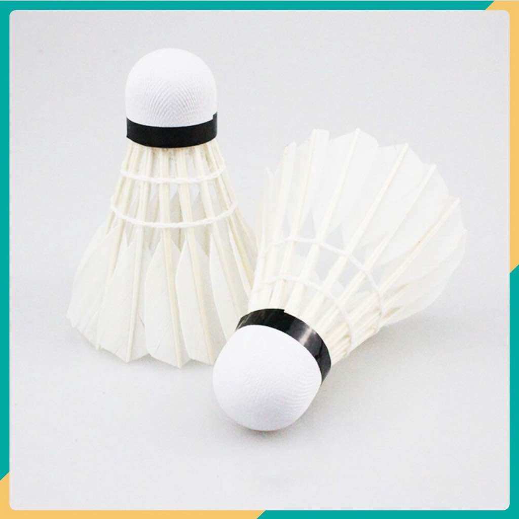 Set 2 quả cầu lông đánh vợt