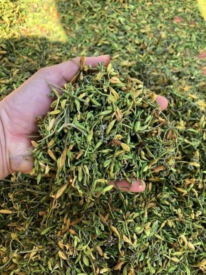1kg hoa đủ đực tươi